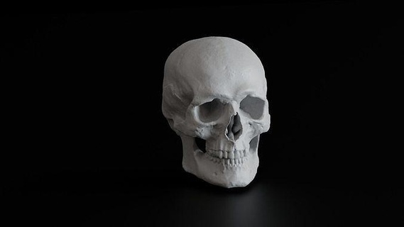 crâne Humain anatomie horreur art sculptures tête statue tombe Halloween squelettique système os pierre tombale dents bague squelette morte 3d print model - Mito3D