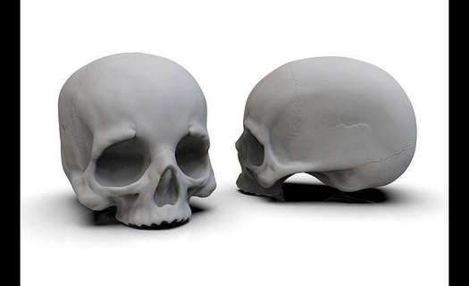 skull jaw 3d printing anatomy bone head horror halloween art human body spooky person face scary sculptures 3d print model - Mito3D