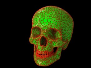 crânio treliça humano ciência cabeça anatomia esqueleto osso morto dentes coluna animal cara lápide cervical horror bruxas assustador zumbi jogos brinquedos acessórios 3d print model - Mito3D