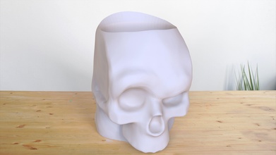 skull plantpot 3dprint ready lowpoly printable head art house decor 3d print model - Mito3D