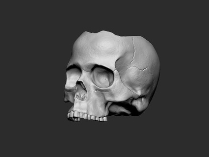 crâne pot mort fleur décor Halloween OS squelette Humain tête bijoux art sculptures 3d print model - Mito3D