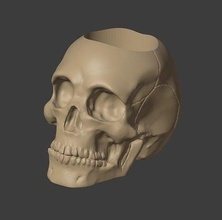 crâne pot plante OS anatomie art fleur décor jardin loisir DIY 3d print model - Mito3D
