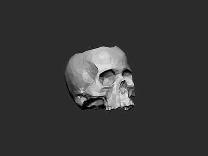 skull pot poly version cranium head human anatomy decor halloween skeletal bone character print figurine art sculptures 3d print model - Mito3D
