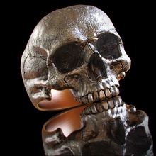 cranio squillare mascella ver2 coppia gioiello stampabile scolpire argento gioielleria anelli 3d print model - Mito3D