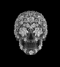 crâne anneau bijoux le de l'anneau la mâchoire squelette luxe conception d'argent les anneaux 3d print model - Mito3D