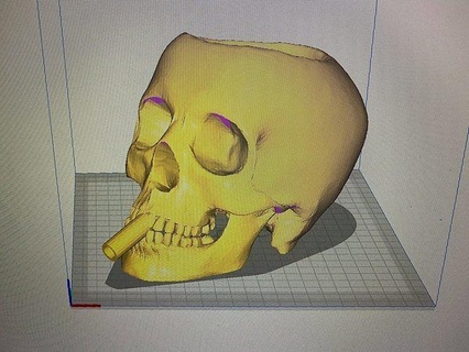 cráneo lavabo escurridor 3d esponja soporte caddie casa cocina comida 3d print model - Mito3D