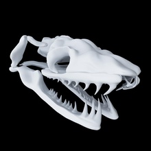 kafatası yılan aglif zbrush şekil vermek doğa bilim biyoloji 3d print model - Mito3D