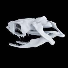 cranio serpente opstoglifo scolpire natura animali scienza biologia 3d print model - Mito3D