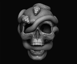 crânio cobras joalheria pingente jóias anatomia arte esculturas 3d print model - Mito3D