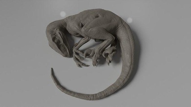 dormido jurásico parque raptor listo 3d impresión dinosaurio animal reptil criatura lagartija escritorio continuar naturaleza velociraptor arte esculturas lindo 3d print model - Mito3D