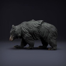 bicho preguiça urso 3d impressão animal fofa predador bengala animais selvagens criatura realista brinquedo arte escultura miniatura diorama dnd companheiro esculturas 3d print model - Mito3D