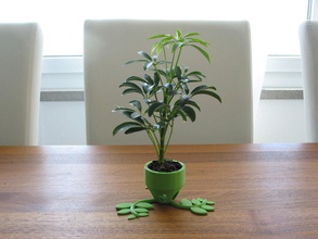 pequeña planta maceta corto flor flores plantador plantas decoración regalo hogar casa acccesory 3d print model - Mito3D