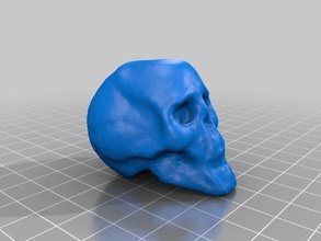 small skull art head scan sculptures digitizer 3d print model - Mito3D