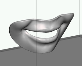smile checker lip plate dental anterior teeth denture pontic anatomy dentaltechnician dentaltechnologist science biology 3d print model - Mito3D