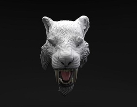 smilodon dientes sable tigre cabeza destinado 3d impresión animal felino gato extinto prehistórico miniatura figura imprimible león felidae carnívoro miniaturas cifras dinámica cara trofeo arte esculturas 3d print model - Mito3D