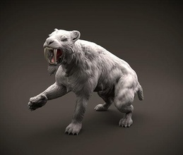smilodon or kılıç dişli kaplan amaçlanan 3d baskı hayvan kedi nesli tükenmiş tarih öncesi minyatür şekil yazdırılabilir aslan kedigiller etobur minyatürler rakamlar dinamik sanat heykeller 3d print model - Mito3D