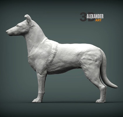 glatt mantel collie hund natur säugetier tier haustier skulptur statuette souvenir 3d drucken modell bildhauerei kunst skulpturen statue druckbar 3d print model - Mito3D