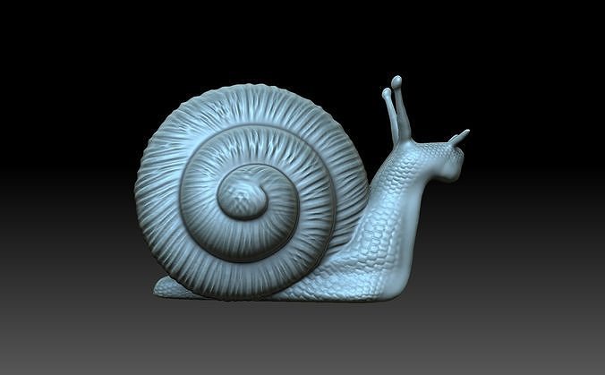 snail shell animal helix escargot figurine statue art sculptures 3D print model - Mito3D