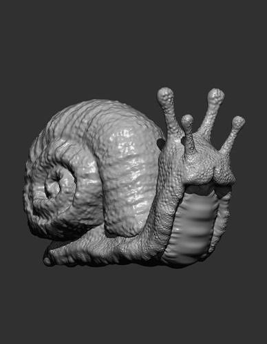 Schnecke Tier 3dmodel 3dprint Wirbellosen Kunst Skulpturen 3D print model - Mito3D