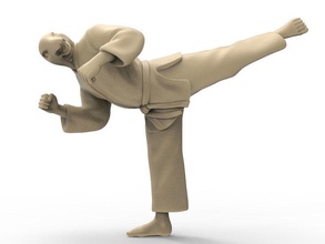 snake back kick karate action figure actionfigure hero character animal human man strength exercise martial punch toy toys print art sculptures 3d print model - Mito3D