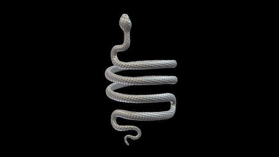 snake bracelet stl jewellery printing arm jewelry cobra silver obj spiral reptile printable sculptures 3d art decoration 3d print model - Mito3D