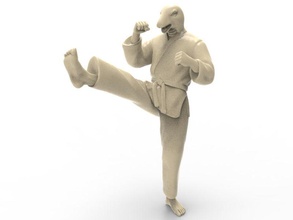 serpente calcio frontale art anteriore di punizione il karate azione figura actionfigure carattere marziali super eroe umana hybird lotta giocattolo i giocattoli stampa stampabile sculture 3d print model - Mito3D