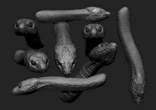 serpiente cabeza peligro piel naturaleza anatomía reptil cuero ciencias biología animal cobra arte esculturas 3d print model - Mito3D