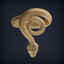 serpente joalheria anel 3d impressão modelo jóias moda ouro Projeto Casamento arte prata imprimível branco platina brilhante único argolas bandas beleza pele cobra 3d print model - Mito3D