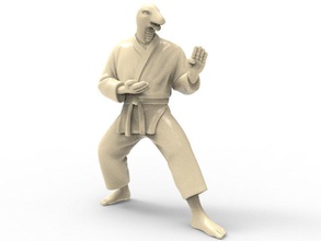 snake kokutsu dachi stance art karate action figure actionfigure character martial super hero human hybird fight toy toys print printable punch sculptures 3d print model - Mito3D