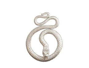 serpent pendentif 3d impression modèle disjoint reptile spirale coulomb mode nature art bijoux or argent bas soulagement sculpture imprimable bijou colliers 3d print model - Mito3D