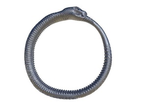 Schlange ring Schmuck artchallenge Schlangen Juwel Ringe 3d print model - Mito3D