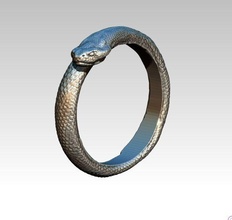 schlange ring kobra reptil eidechse natur drachen tier raubtier kreatur schmuck gold silber druckbar cnc afrikanisch zoo wald ringe 3d print model - Mito3D