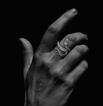 serpente squillare anelli serpenti testa iguana scienza stampabile argento oro femmina nozze regalo rettile femminile gioiello gioielleria gioielliere gemma 3d print model - Mito3D