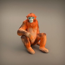 snub-nose monkey 3d printing animal primate ape golden sculpture figure collectible miniature wildlife companion realistic toy presupported supported nature statue art sculptures 3d print model - Mito3D