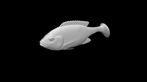 morbido esca realistico Tilapia pesce modello 3d softbait adescare per pescare esche pesca bigbait design softplastic Stampa talpe prototipo passatempo Fai 3d print model - Mito3D