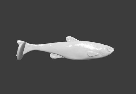 morbido plastica pesca adescare 3d modello esca per pescare softplasticlure softplasticfishinglure passatempo Fai 3d print model - Mito3D