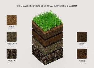soil layers cross sectional isometric diagram science orthographic grass dirt bedrock subsoil fertile ecosystem biology lowpoly vegetation topsoil clay sand 3d print model - Mito3D