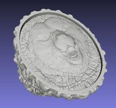 solide loup tête bague art sculpture symbole bijoux anneaux imprimable sterling bijou 3d print model - Mito3D