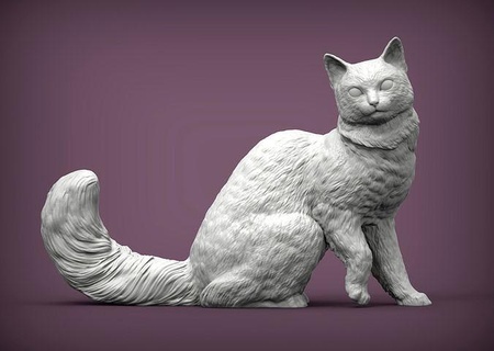somalo gatto animale mammifero selvaggio domestico gattino natura scultura statuetta souvenir 3d Stampa modello arte sculture carina 3d print model - Mito3D