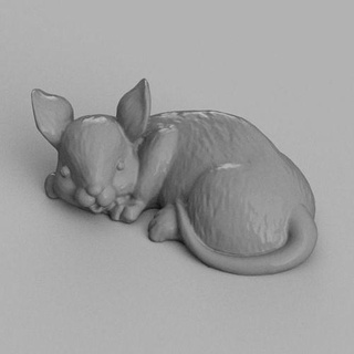 souris allonge animal rat rongeur zoo hamster nature terrarium house decor 3d print model - Mito3D