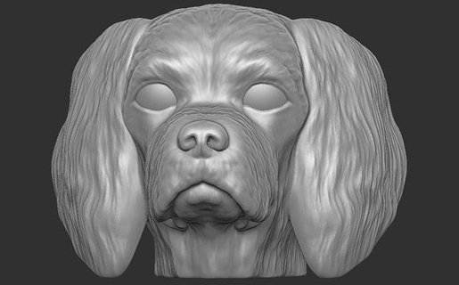 İspanyol süvari köpek baş 3d baskı Collie sınır kaba İskoçya Işaretçi tazı Weinaramer pomeranya bulldog borzoi Pitbull Labrador altın av köpeği Bernese minyatürler Sanat heykeller 3d print model - Mito3D