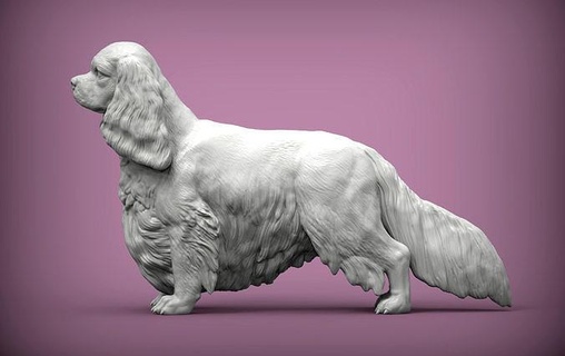 spaniel caballero Rey Charles perro naturaleza mamífero animal mascota escultura estatuilla recuerdo 3d impresión modelo esculpir Arte esculturas Inglés 3d print model - Mito3D