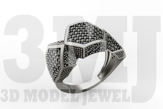 uomini speciali anello modello nuovo uomo gioielli l'uomo anelli gioiello sigillo con castone gemma la pietra argento stampabile di diamanti speciale usa il canada 3d print model - Mito3D