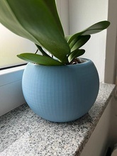 sphère plante pot fleur décoration maison décor 3d print model - Mito3D