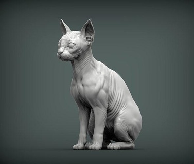 esfinge gato animal mamífero selvagem gatinha natureza gatinho escultura estatueta lembrança 3d impressão modelo arte esculturas Egito Careca 3d print model - Mito3D