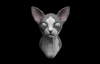 esfinge gato 3d impresión modelo animal zbrush busto modelado esculpir arte esculturas retrato faraón superficial anatomía audubon naturaleza griego galería enmarcado tierra mamífero 3d print model - Mito3D