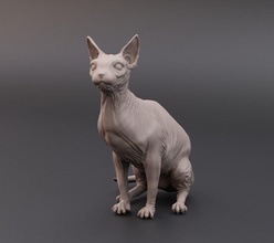 sphynx kedi sanat heykel hayvan doğa yavru şekil heykelcik kürk canavar minyatürler cg karakter bilim biyoloji 3d print model - Mito3D
