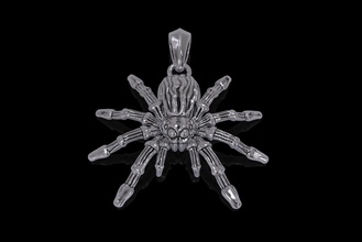 spider pendant 3d print model jewelry animal arachnid gold goliath hair insect jewel mexican nature pendants poison realistic silver tarantula venom web wildlife 3d print model - Mito3D