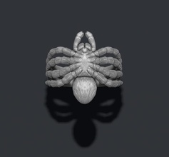 spider ring jewelry animal arachnid fur gold goliath hair insect jewel mexican nature poison realistic rings silver tarantula venom wildlife 3d print model - Mito3D