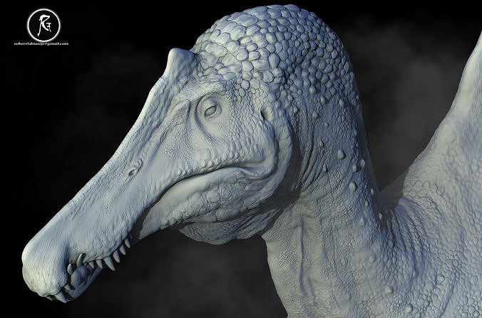 spinosaurus fauna selvatica natura dinosauro animale preistorico denti rettile creatura bestia dino giurassico paleontologia fantasia immaginario uccello scienza biologia 3D print model - Mito3D